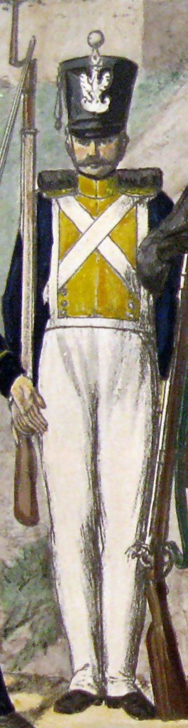Żołnierz 3 pułku piechoty liniowej (źródło Wikipedia)